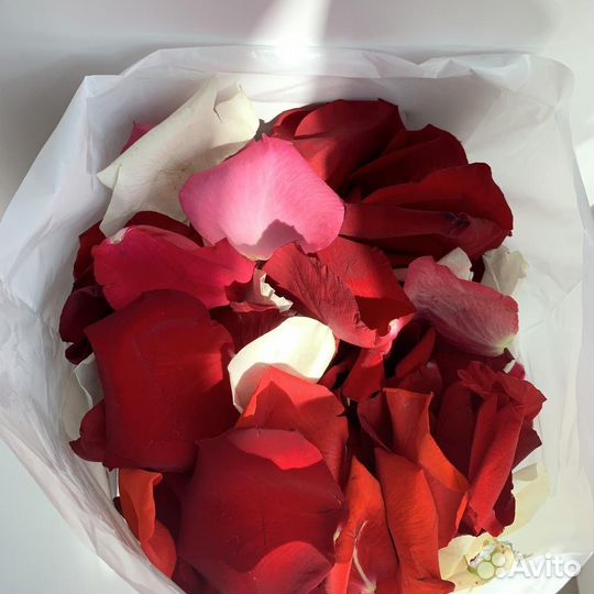 Лепестки роз