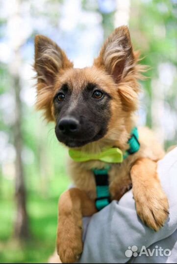 Забери меня домой