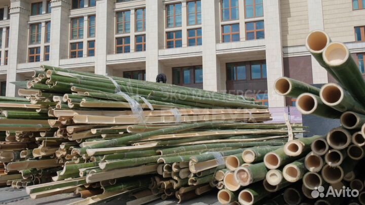 Бамбук, ствол бамбука