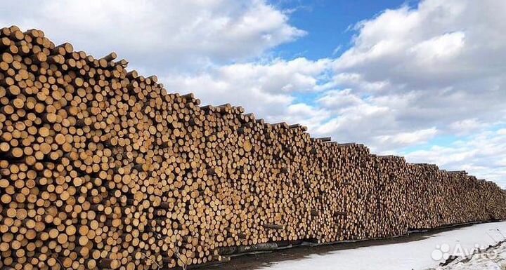 Пиломатериалы брус доска лес