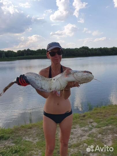 Кемпинг в Астрахани