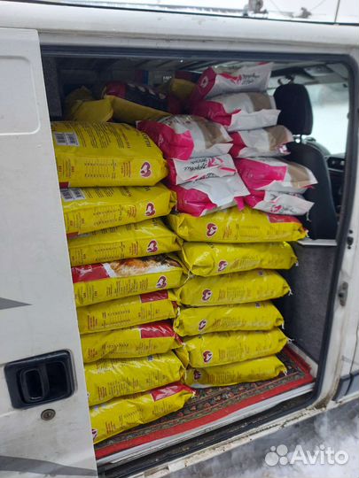 Корм для собак