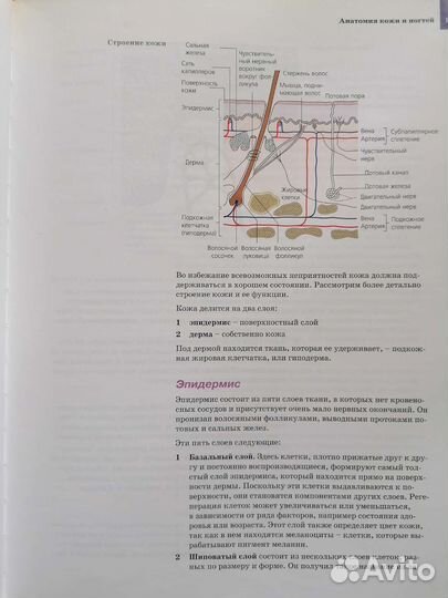 Книга Джеффорд, Марш, Свейн Искусство маникюра