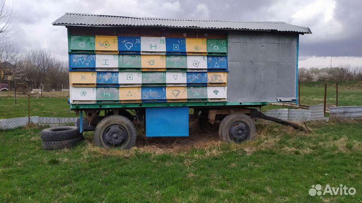 Пчелопавильен