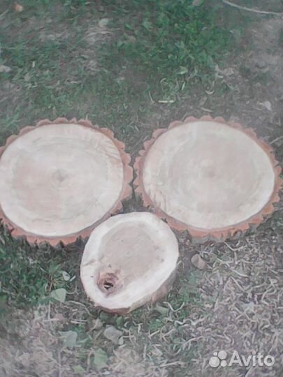 Деревянные спилы, и слэбы из вяза