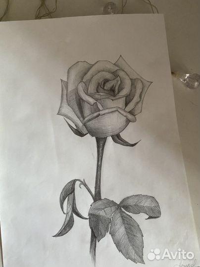 Рисую на заказ