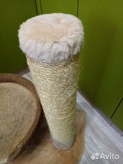 Когтеточка