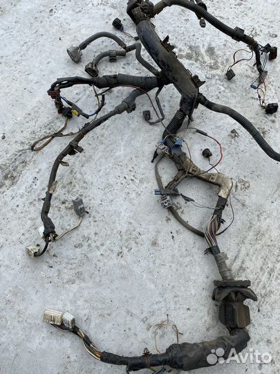 Коса двигателя Toyota Corolla 120 3c-e дизель