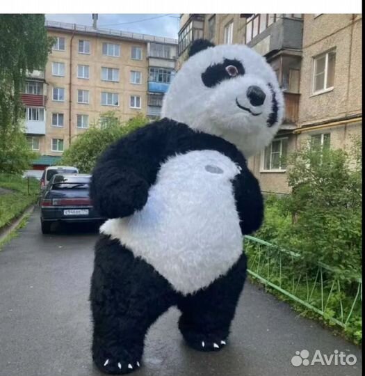 Поздравление от Панды, ростовая кукла