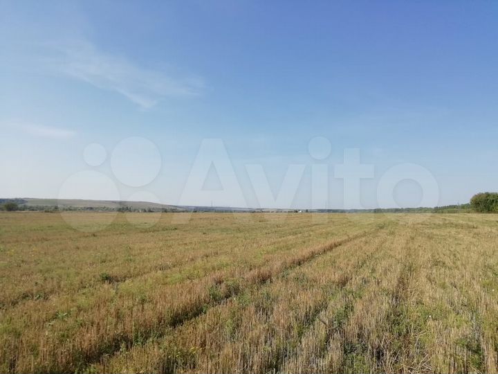 Участок 1,28 га (СНТ, ДНП)