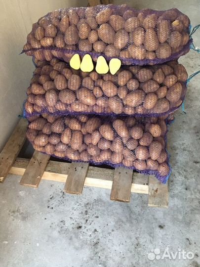 Картофель домашний с доставкой