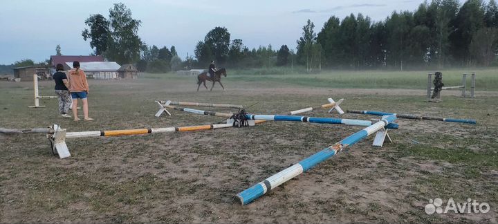 Конный лагерь в Беларуси