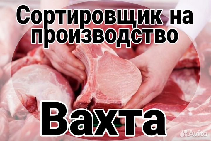 Сортировщик на мясное производство вахта