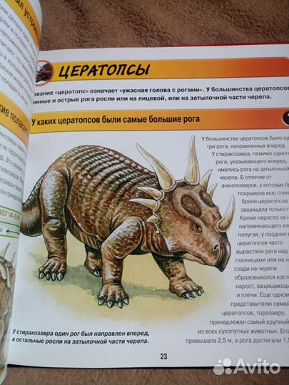 Детские книги Динозавры и Подводный мир