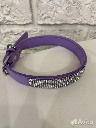 Ошейник для собак