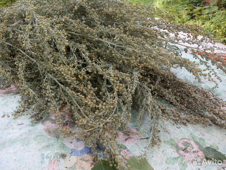 Веники для бани, ассортимент