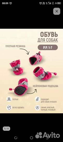 Обувь для собак мелких пород