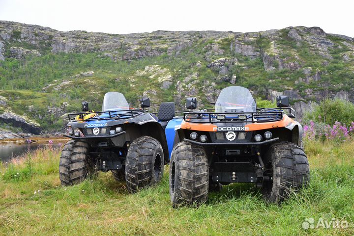 Дайвинг в Баренцевом море. Полуостров Средний