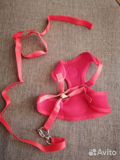 Шлейка для маленькой собаки