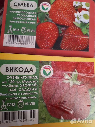 Растения для сада