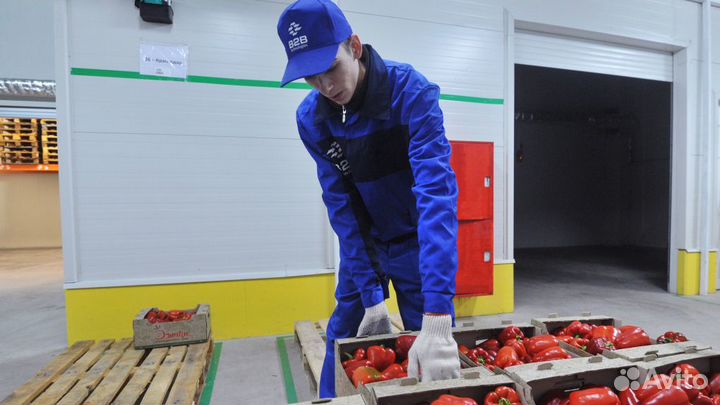 Подработка грузчиком в магазине