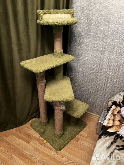 Когтеточка