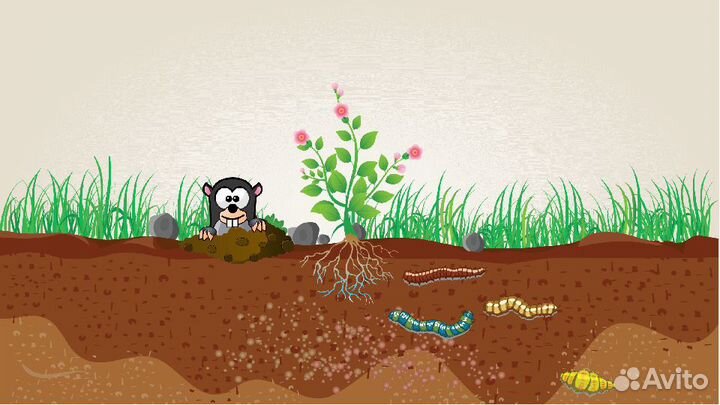 Грунт полевой