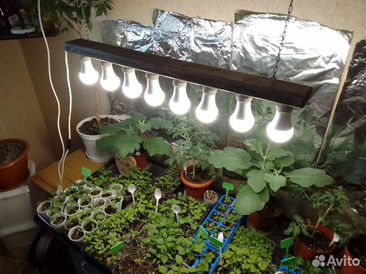 Подсветка для растений (рассады)