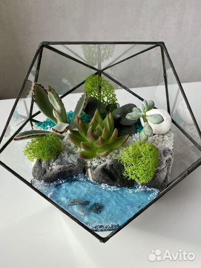 Флорариум с суккулентами и водоемом