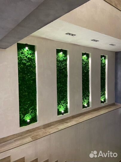 Панели из стабилизированного мха