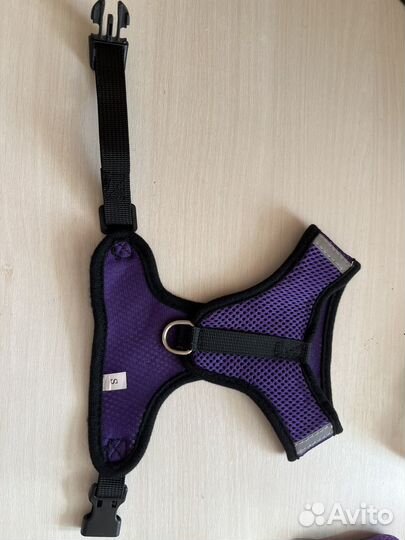 Шлейка прогулочная с поводком для собак и кошек