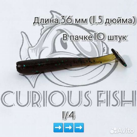 Curious Fish - Fish minnow 1,5 дюйма (3,6 см)