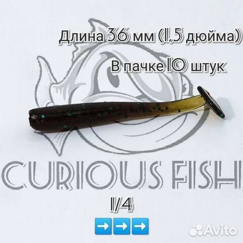 Curious Fish - Fish minnow 1,5 дюйма (3,6 см)
