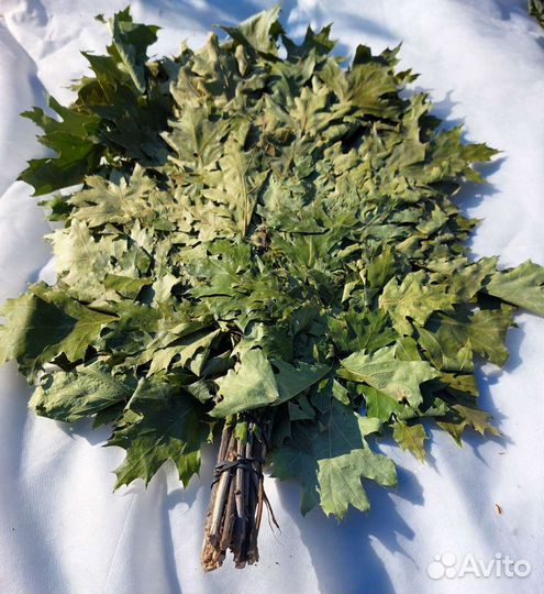 Веники для бани