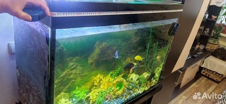 Украшение для аквариума
