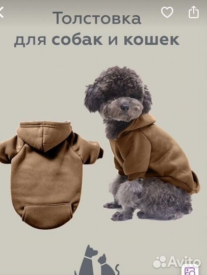 Кофта для животного