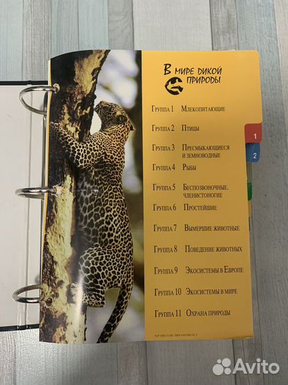 В мире дикой природы