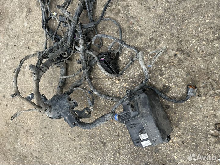 Kia Rio 3 автомат проводка двигателя