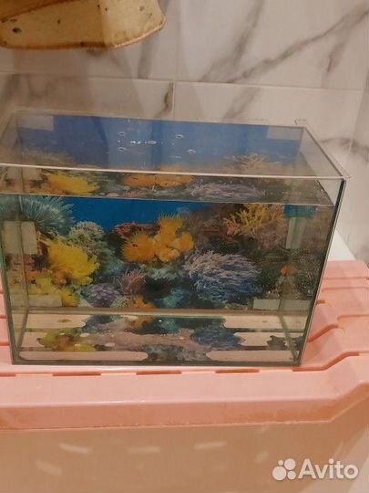 Аквариум не большой