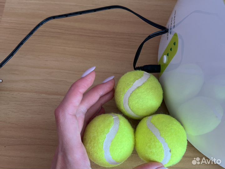 Игрушки для собак бу