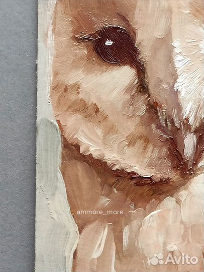 Мини картина маслом «Портрет Совы»