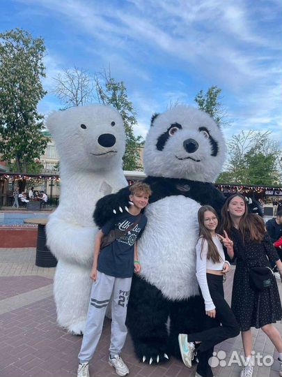 Панда поздравление