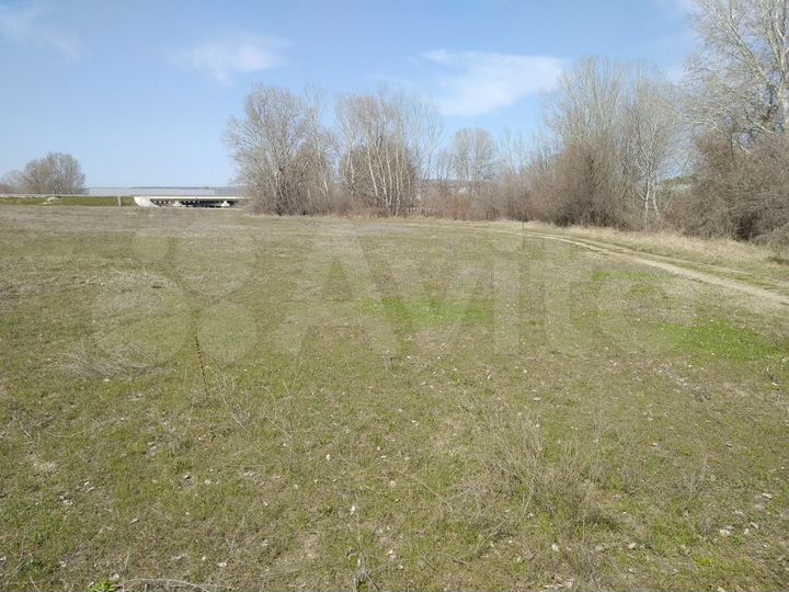 Участок 1,59 га (СНТ, ДНП)