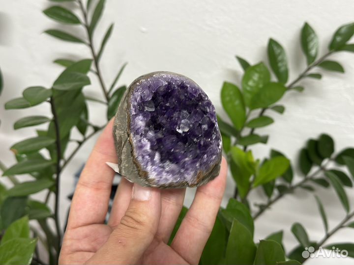 Друза аметиста 339 гр