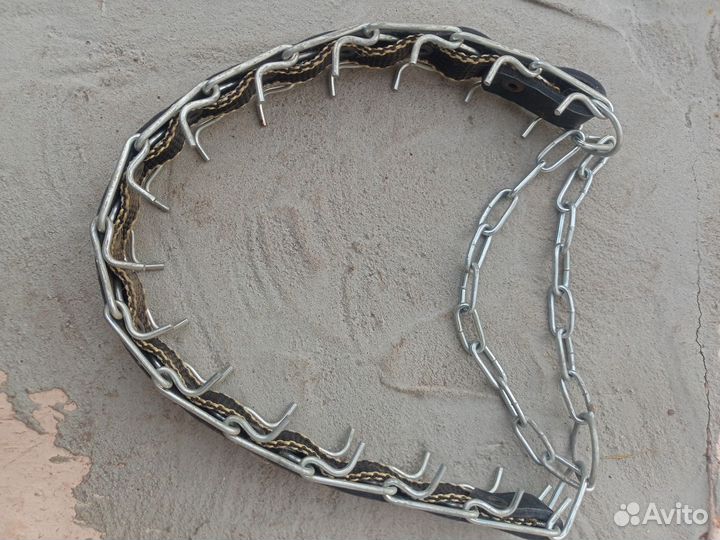 Строгий ошейник для собак