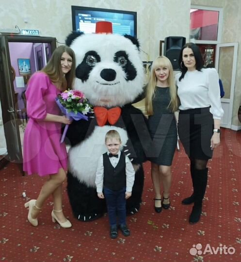 Аниматор, ростовая кукла Панда