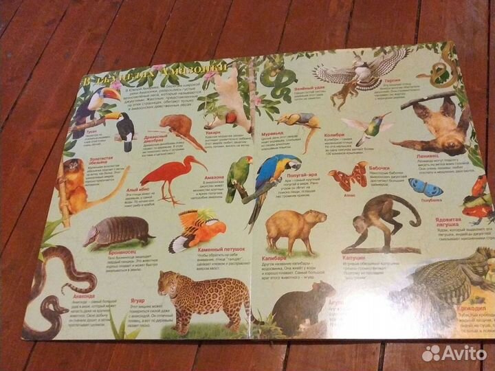 Книга для детей Мир животных