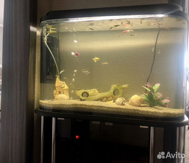 Аквариум с тумбой 120л. Рыбки в комплекте )