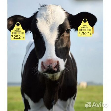 Ушные бирки для крс 30 шт двойные Вест Беларусь