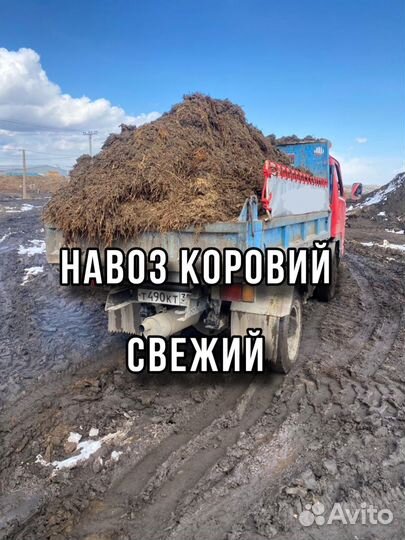 Навоз коровий доставка перегной